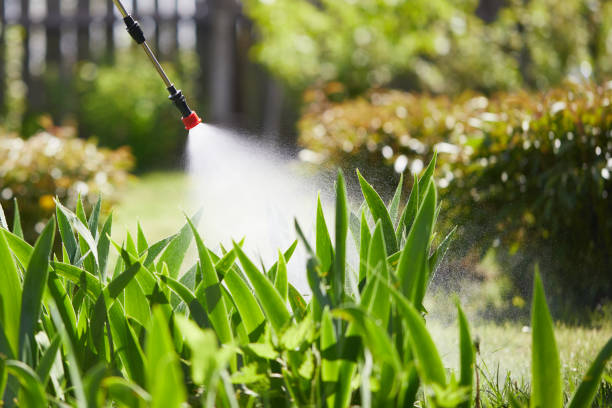 24/7 Emergency Mosquito Control experts in Waverly, NY