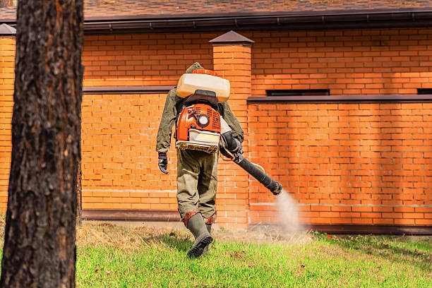 Top rated local Mosquito Control specialists in Waverly, NY